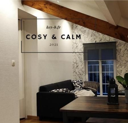 Calm & Cosy Apartment Freyming-Merlebach Bagian luar foto